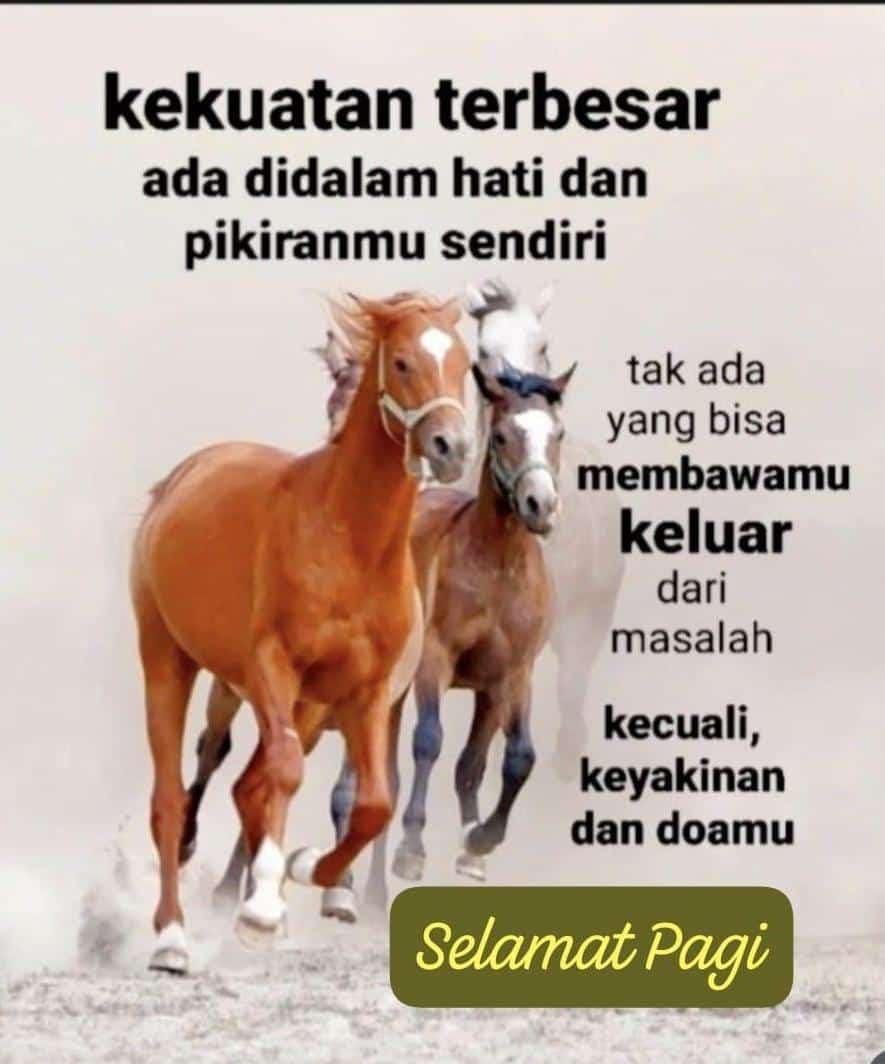 Win Baba