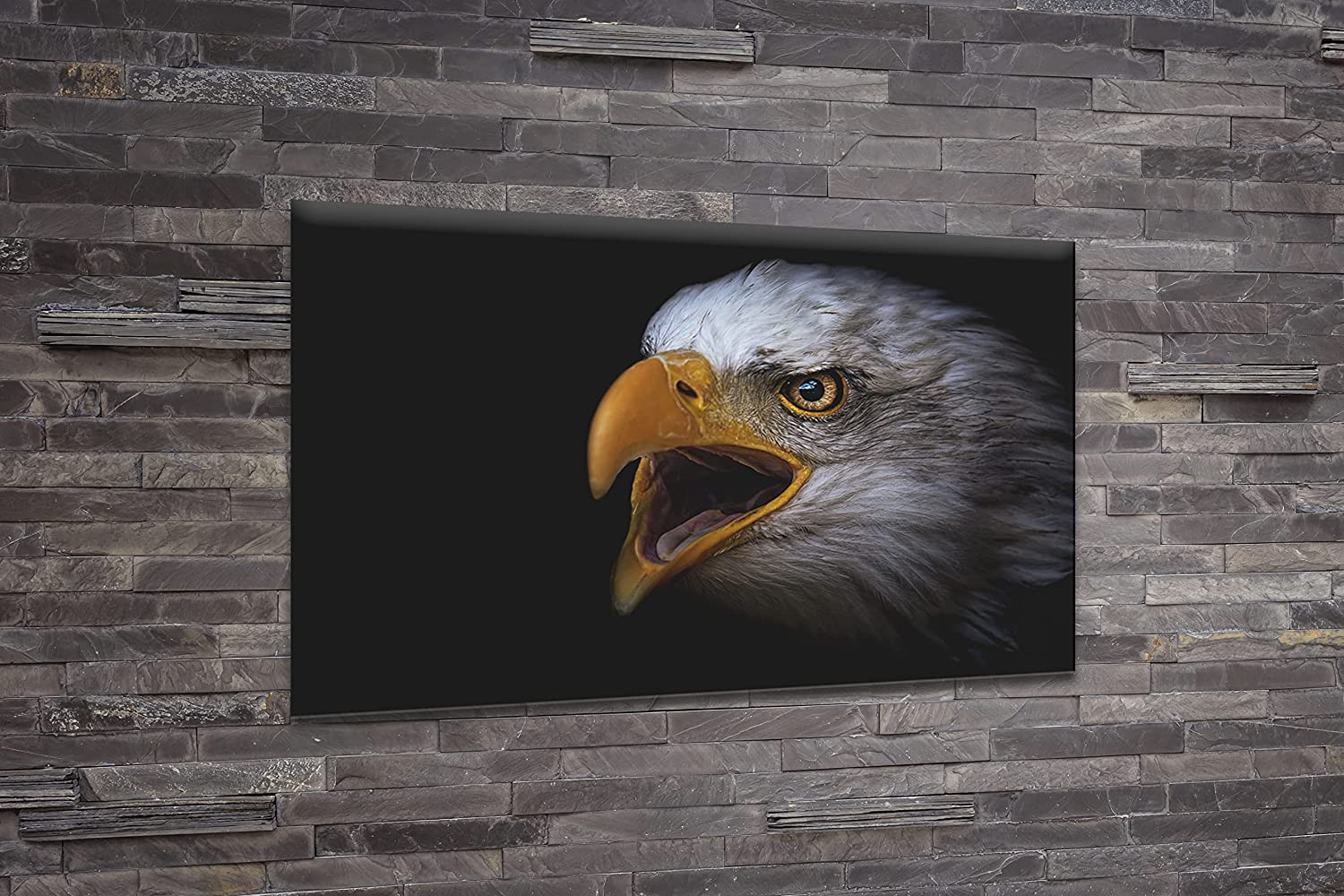 Acrylic Modern Wall Art Eagle - Animals In The Wild Black and White Series - Interior Design NFT - Acrylic Wall Art - Picture Photo Printing Artwork - Multiple Size Options (Wide 48"x 32" Height)